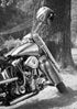 Harley Davidson Motorcycle parked next to a tree with a helmet on the handlebar