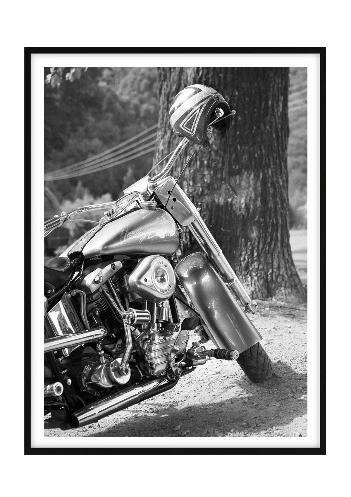 The Hog Harley Davidson