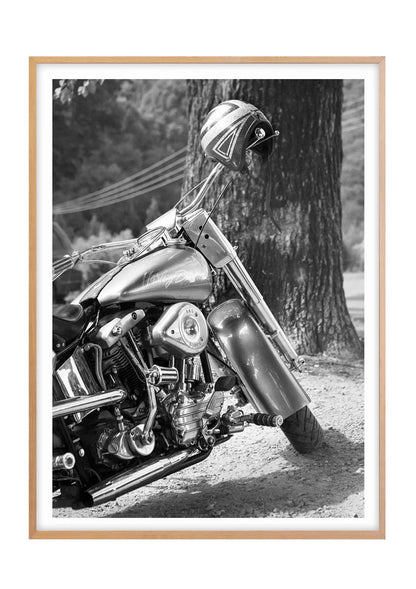 The Hog Harley Davidson