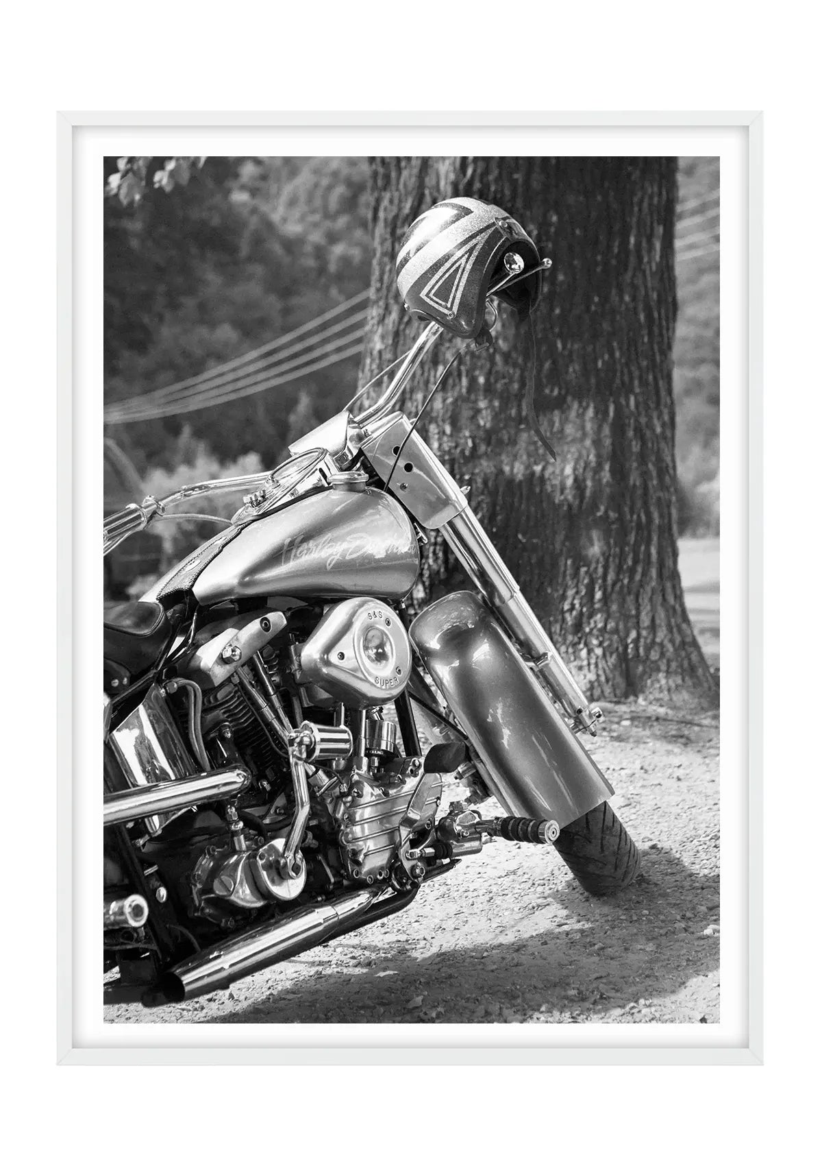 The Hog Harley Davidson