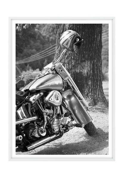 The Hog Harley Davidson