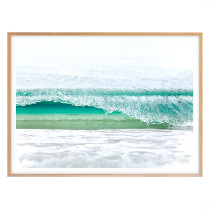 Tiny Curl, Manly