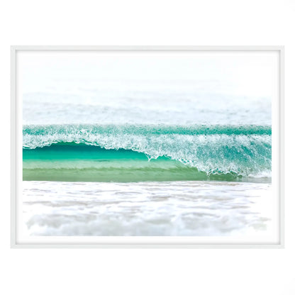 Tiny Curl, Manly