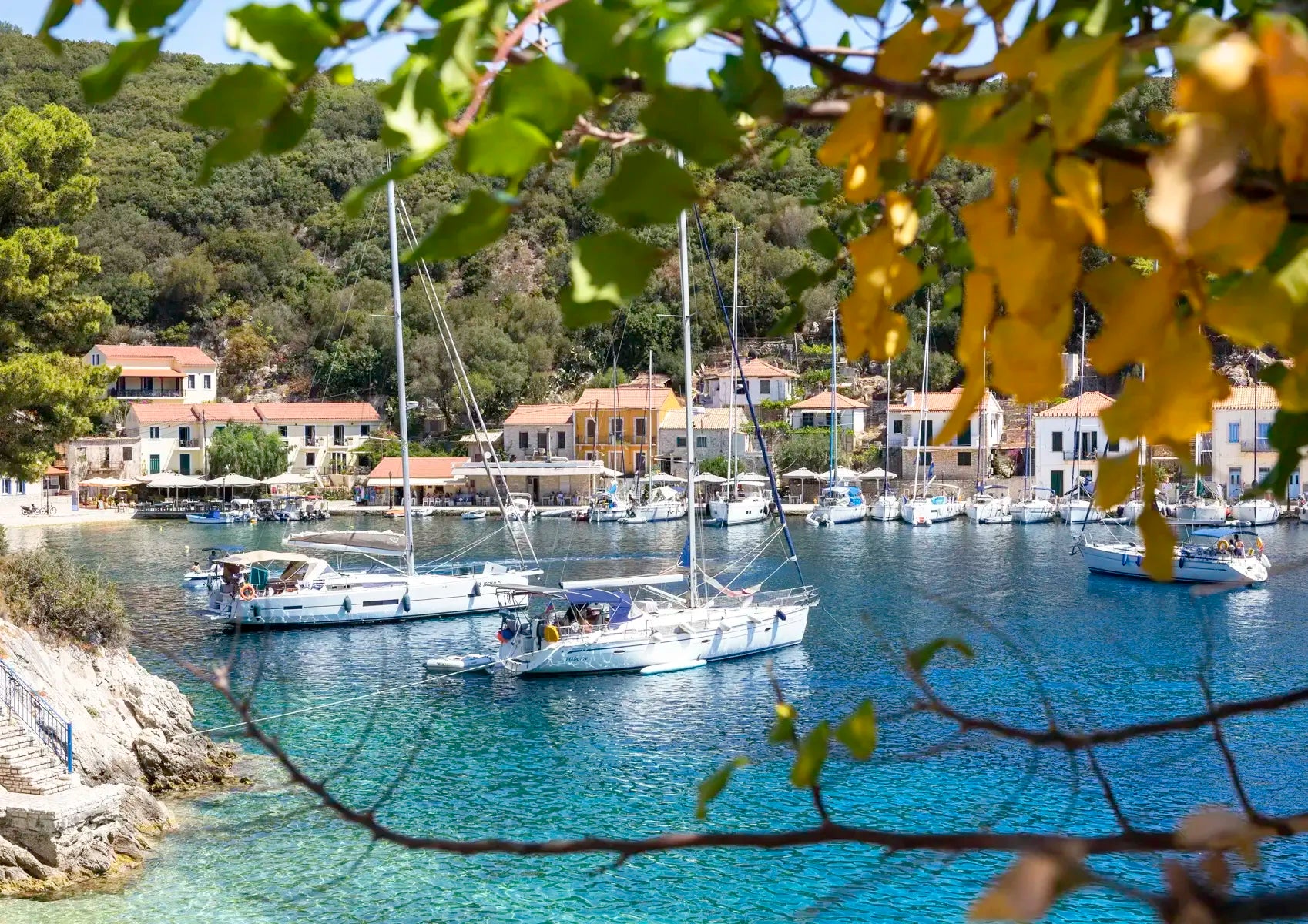 Harbor scene with sailboats and buildings, framed by tree branches.
